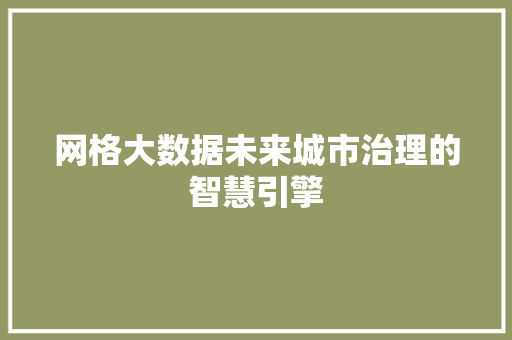 网格大数据未来城市治理的智慧引擎