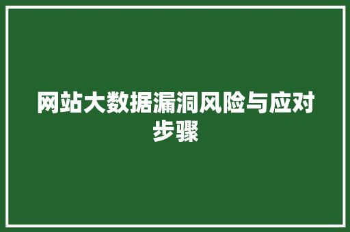 网站大数据漏洞风险与应对步骤