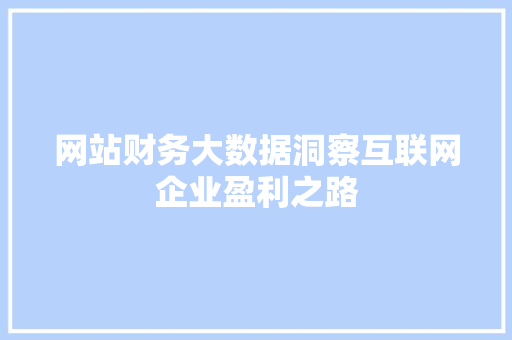 网站财务大数据洞察互联网企业盈利之路