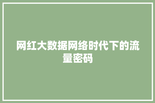 网红大数据网络时代下的流量密码