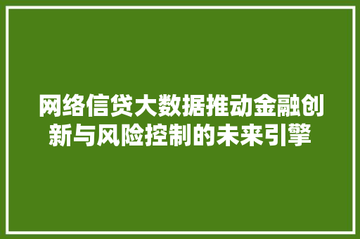 网络信贷大数据推动金融创新与风险控制的未来引擎