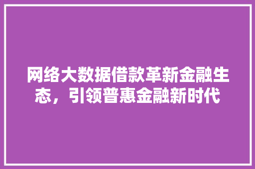 网络大数据借款革新金融生态，引领普惠金融新时代