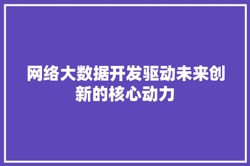 网络大数据开发驱动未来创新的核心动力