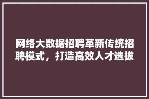 网络大数据招聘革新传统招聘模式，打造高效人才选拔新纪元