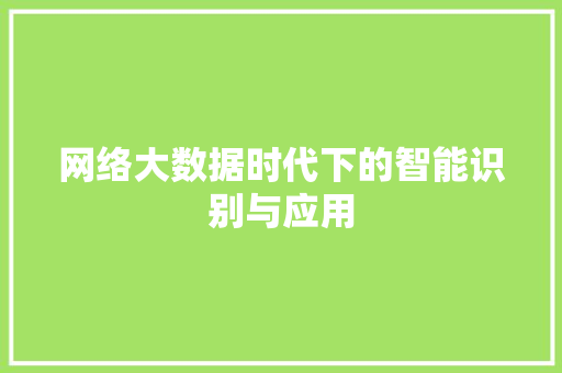 网络大数据时代下的智能识别与应用 网络大数据时代下的智能识别与应用