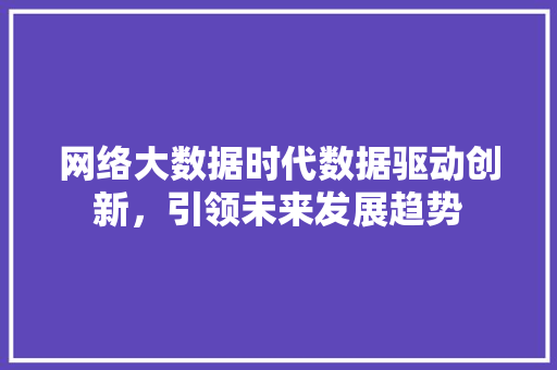 网络大数据时代数据驱动创新,引领未来发展趋势 网络大数据时代数据驱动创新,引领未来发展趋势