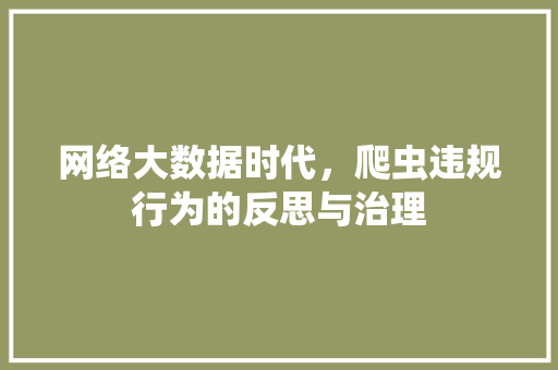 网络大数据时代,爬虫违规行为的反思与治理 网络大数据时代,爬虫违规行为的反思与治理
