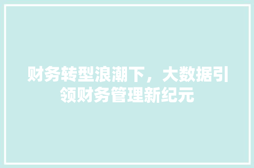 财务转型浪潮下，大数据引领财务管理新纪元