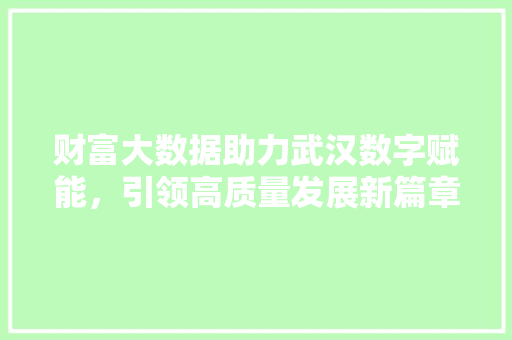 财富大数据助力武汉数字赋能,引领高质量发展新篇章 财富大数据助力武汉数字赋能,引领高质量发展新篇章