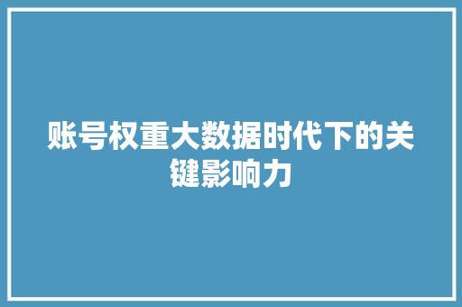 账号权重大数据时代下的关键影响力 账号权重大数据时代下的关键影响力
