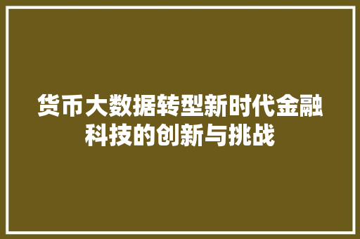 货币大数据转型新时代金融科技的创新与挑战 货币大数据转型新时代金融科技的创新与挑战