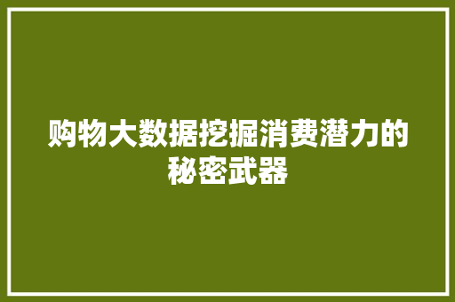 购物大数据挖掘消费潜力的秘密武器 购物大数据挖掘消费潜力的秘密武器