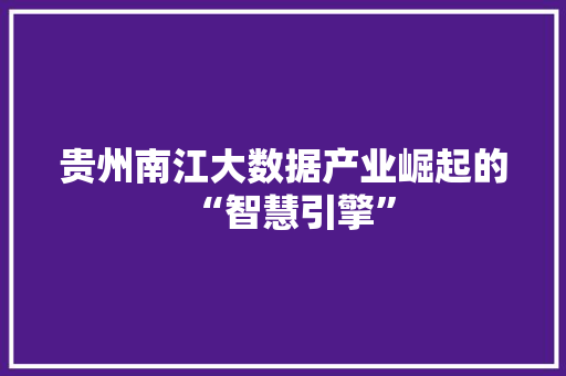 贵州南江大数据产业崛起的“智慧引擎”