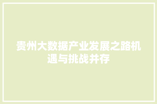 贵州大数据产业发展之路机遇与挑战并存