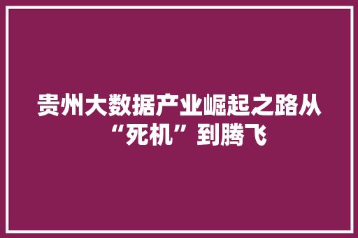 贵州大数据产业崛起之路从“死机”到腾飞