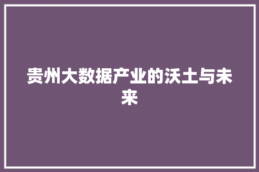 贵州大数据产业的沃土与未来