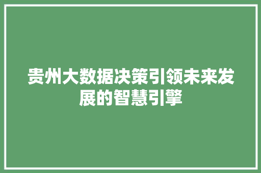 贵州大数据决策引领未来发展的智慧引擎