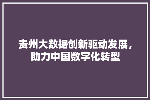 贵州大数据创新驱动发展，助力中国数字化转型