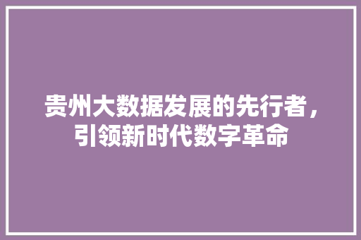 贵州大数据发展的先行者，引领新时代数字革命