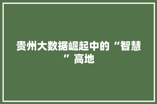 贵州大数据崛起中的“智慧”高地