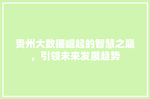 贵州大数据崛起的智慧之巅，引领未来发展趋势