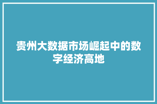 贵州大数据市场崛起中的数字经济高地