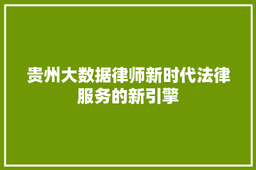 贵州大数据律师新时代法律服务的新引擎 贵州大数据律师新时代法律服务的新引擎