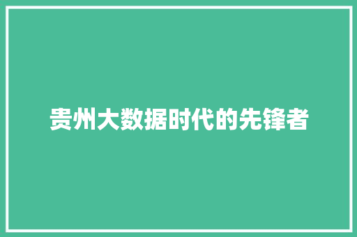 贵州大数据时代的先锋者