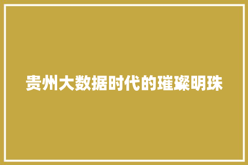 贵州大数据时代的璀璨明珠