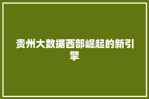 贵州大数据西部崛起的新引擎