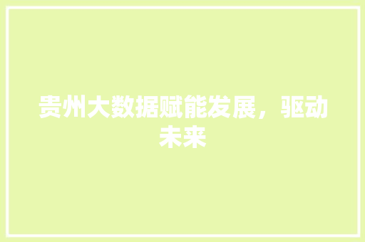 贵州大数据赋能发展，驱动未来