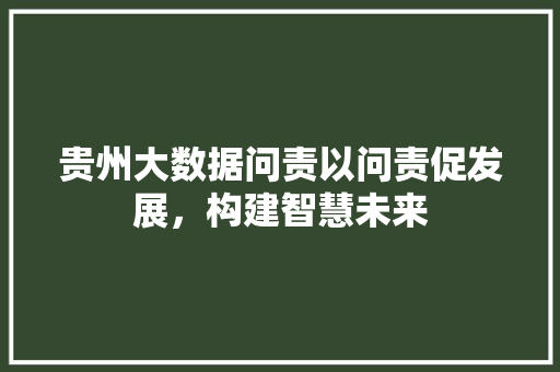 贵州大数据问责以问责促发展，构建智慧未来