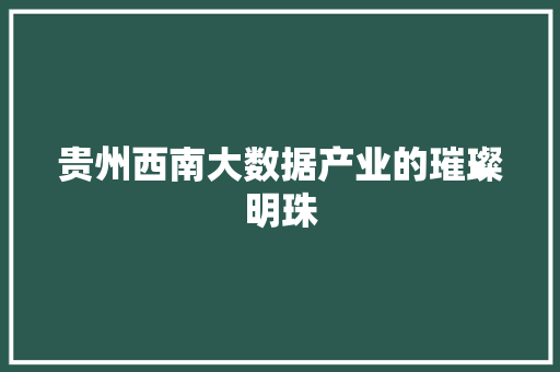 贵州西南大数据产业的璀璨明珠 贵州西南大数据产业的璀璨明珠