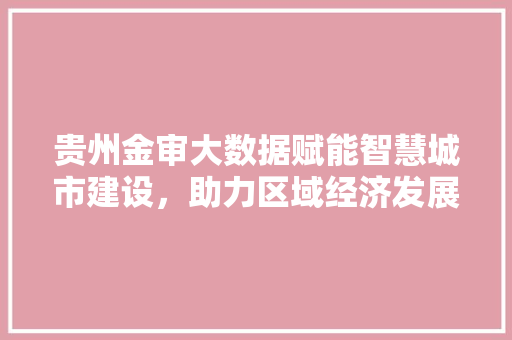 贵州金审大数据赋能智慧城市建设，助力区域经济发展