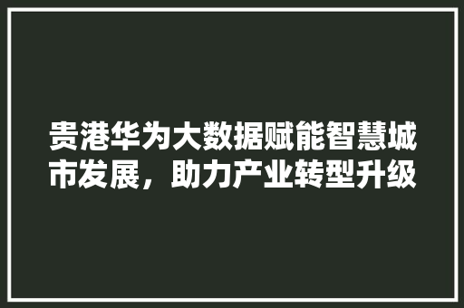 贵港华为大数据赋能智慧城市发展，助力产业转型升级 操作系统