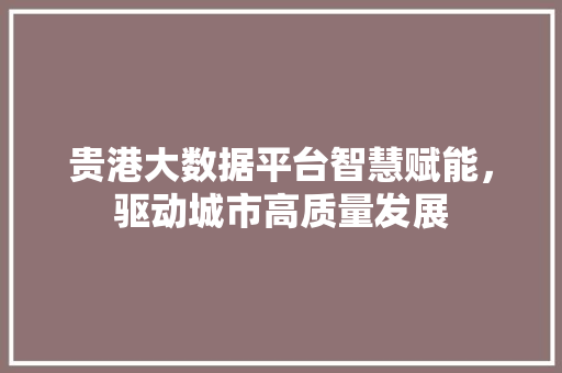 贵港大数据平台智慧赋能，驱动城市高质量发展