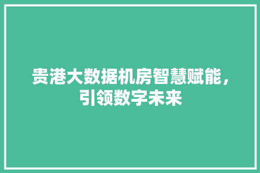 贵港大数据机房智慧赋能，引领数字未来