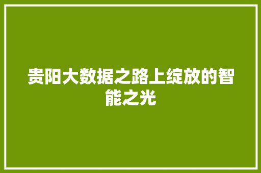 贵阳大数据之路上绽放的智能之光