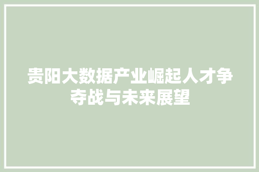 贵阳大数据产业崛起人才争夺战与未来展望