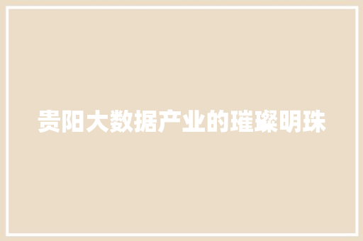 贵阳大数据产业的璀璨明珠 电脑基础