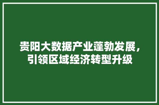 贵阳大数据产业蓬勃发展，引领区域经济转型升级