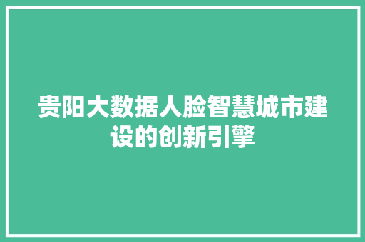 贵阳大数据人脸智慧城市建设的创新引擎
