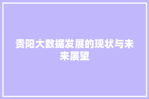 贵阳大数据发展的现状与未来展望