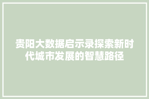 贵阳大数据启示录探索新时代城市发展的智慧路径