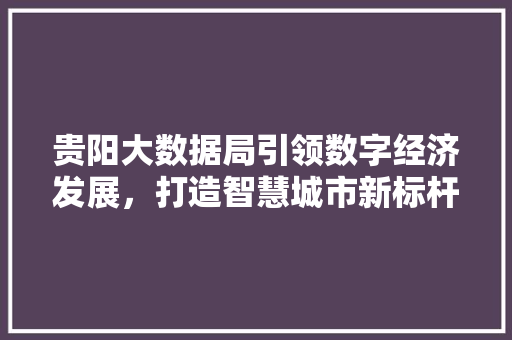 贵阳大数据局引领数字经济发展，打造智慧城市新标杆