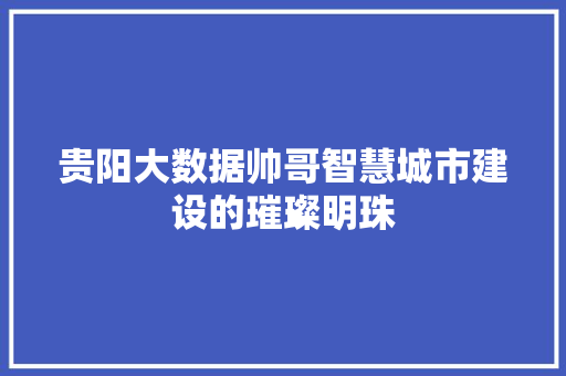 贵阳大数据帅哥智慧城市建设的璀璨明珠