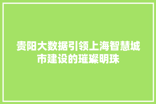 贵阳大数据引领上海智慧城市建设的璀璨明珠