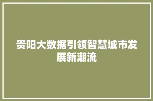 贵阳大数据引领智慧城市发展新潮流