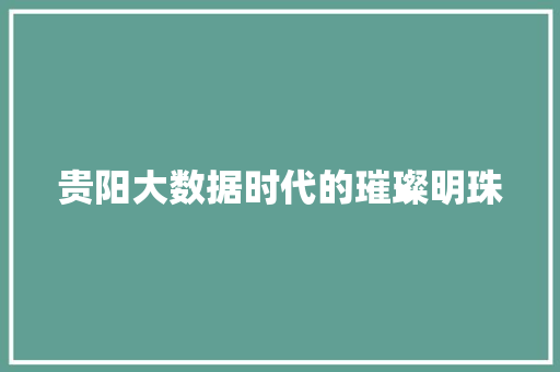 贵阳大数据时代的璀璨明珠