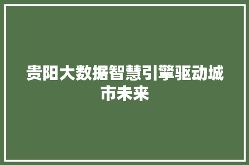 贵阳大数据智慧引擎驱动城市未来